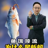 鱼饵顶流为什么是蚯蚓