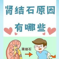 肾和输尿管多年结石？多次手术反复？五金化石汤：清湿热利水渗湿