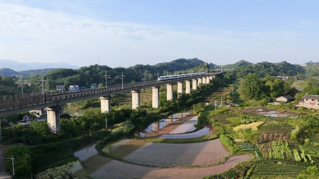重庆市女摄影家协会朱红英2025摄影总结(第十四期)
