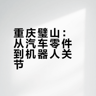 从汽车制造迈向具身智能——重庆璧山抢滩前沿新赛道