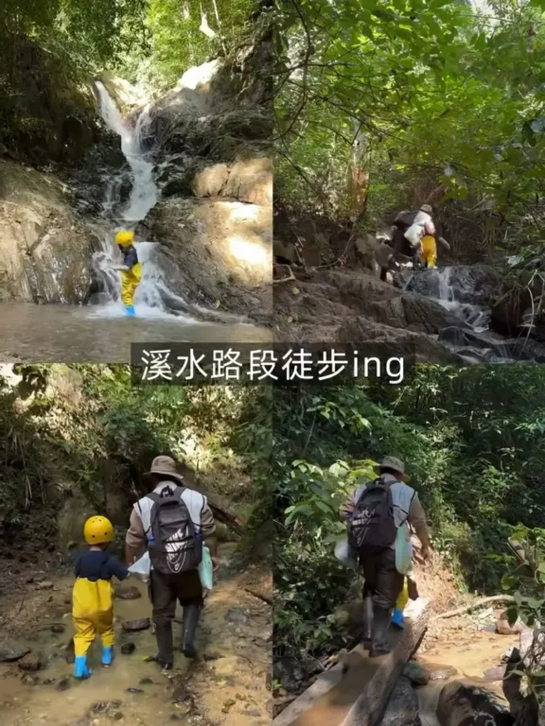 西双版纳&普洱亲子游|最值得去的景点