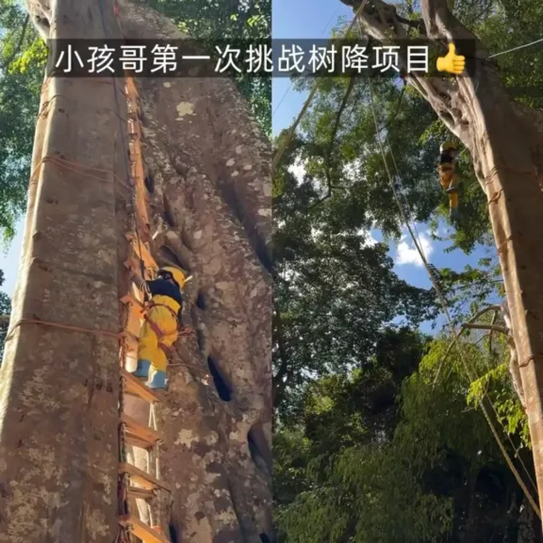 西双版纳&普洱亲子游|最值得去的景点
