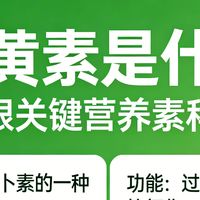 叶黄素选购不踩坑：2026年十款畅销儿童叶黄素强悍力荐