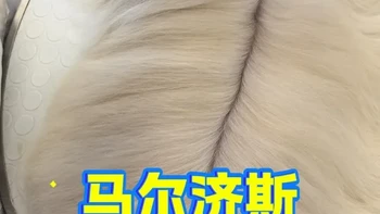 伊珊娜小狗马尔济斯“年度体检”：毛打结、氧化？ 常年使用伊珊娜的狗狗毛发会细软塌？那主毛如此粗壮的马尔济斯又该如何解释？
宠物皮毛的健康才能为主人带来更大的省心和美丽#伊珊娜 #马尔济斯 #马尔济斯美容 #宠物美容 #宠物知识