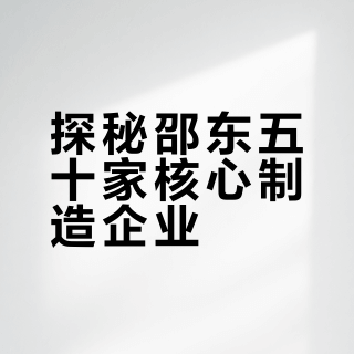 邵东县五十家实力企业，你可以补充更多吗有你的单位吗？