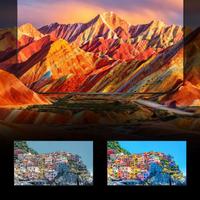 RGB Mini LED电视 vs OLED电视？68位用户真实体验告诉你答案