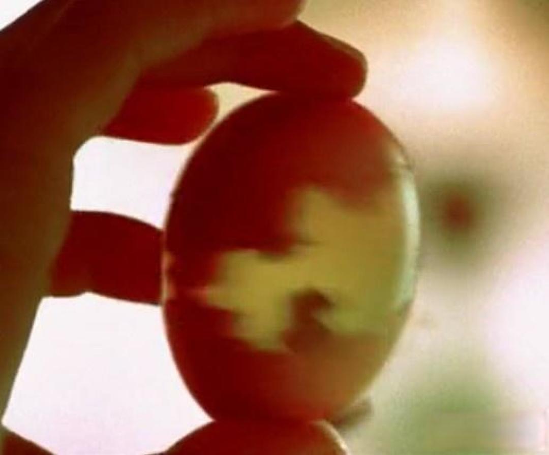 如何评价电影《天下无贼》?