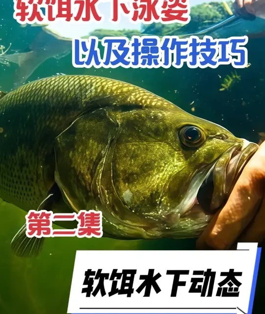 软饵水下泳姿以及操作技巧（第二集） #鲈钓 #鲈钓技巧 #路亚野钓