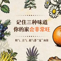 家居美学|精油香薰氛围营造全攻略