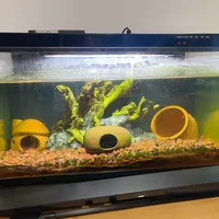 小米鱼缸维修困局：换线难在哪？拆解两大高危步骤与决策建议