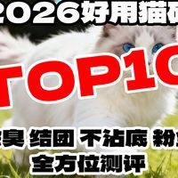 2026中国猫砂行业TOP10推荐榜：十款优质猫砂全方位对比测评