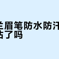 卡姿兰眉笔防水防汗效果被高估了吗？1200+用户真实口碑大PK