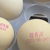 桂青源初生蛋 无菌可生食 谷物喂养 新鲜无腥