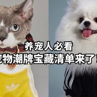 萌宠亲子装 | 从CLOT到阿迪的宠物潮牌清单