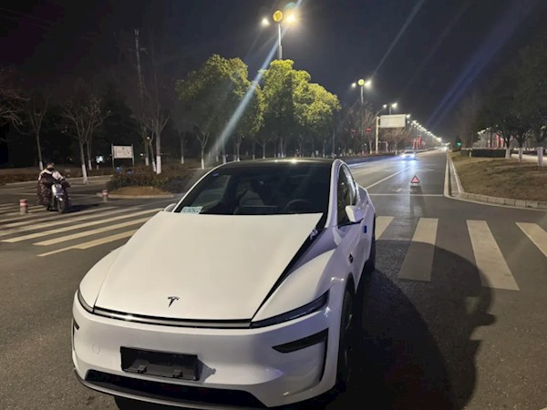 特斯拉Model Y撞狗触发行人保护致万元维修费，系统误启动引争议