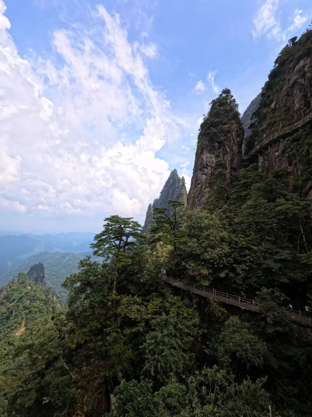 真的是一座不用爬的山——莽山