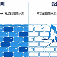 干敏肌换季面霜怎么选？神经酰胺配比与TEWL改善率才是关键