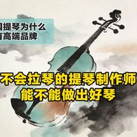 不会拉琴的提琴制作师能不能做出好琴【中国提琴为什么没有高端品牌】（12）