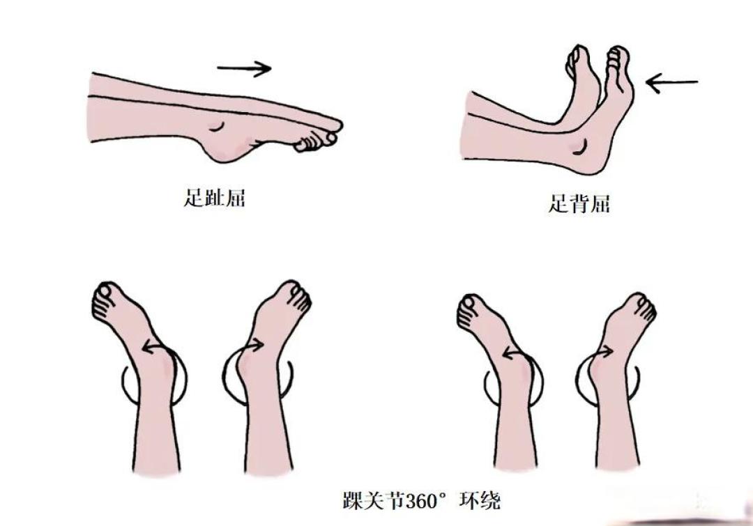 春节回家坐到腿肿?一个“黄金动作”坐着就能防血栓