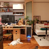 多猫家庭智能设备怎么选？除臭、喂食、清洁三大场景实测，这些参数才是关键