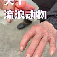 坚守二十多年的公益基地 2900只狗，500多只猫，和一位70岁的奶奶
#流浪动物救助 #关爱流浪动物 #猫咪 #小狗 #流浪猫