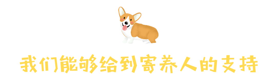 2月中转名单 | 不能领养的你,也能帮TA找个家!