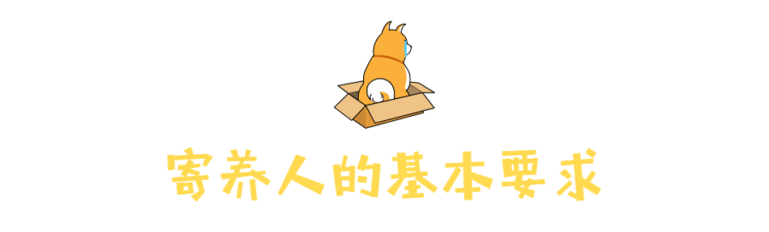 2月中转名单 | 不能领养的你,也能帮TA找个家!