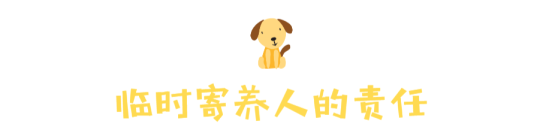 2月中转名单 | 不能领养的你,也能帮TA找个家!