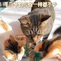 50+退休阿姨的年货清单：自己啥都没买，先给这一屋子毛孩子备足了粮！#宠物用品推荐 #高性价比猫粮 #猫砂怎么选 #宠物除臭 #宠率猫粮