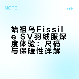始祖鸟羽绒服参考，Fissile SV 是真的偏大