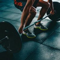专业运动员体能训练法适合普通人吗？892+观点深度碰撞