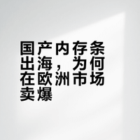 信息差：国产内存条卖到德国，利润直接翻倍