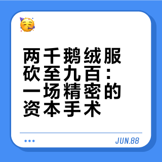 波司登雪崩！两千鹅绒砍至九百，一场蓄谋已久的资本手术