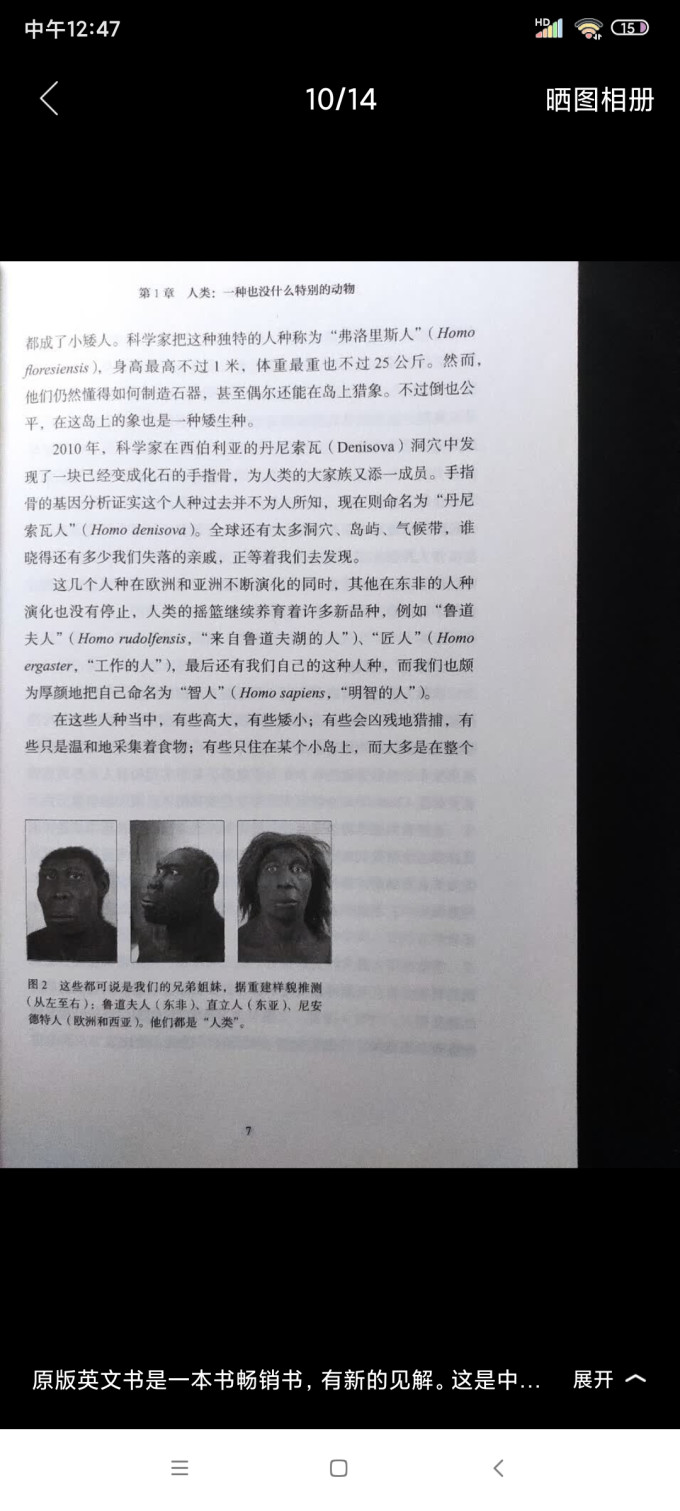 历史