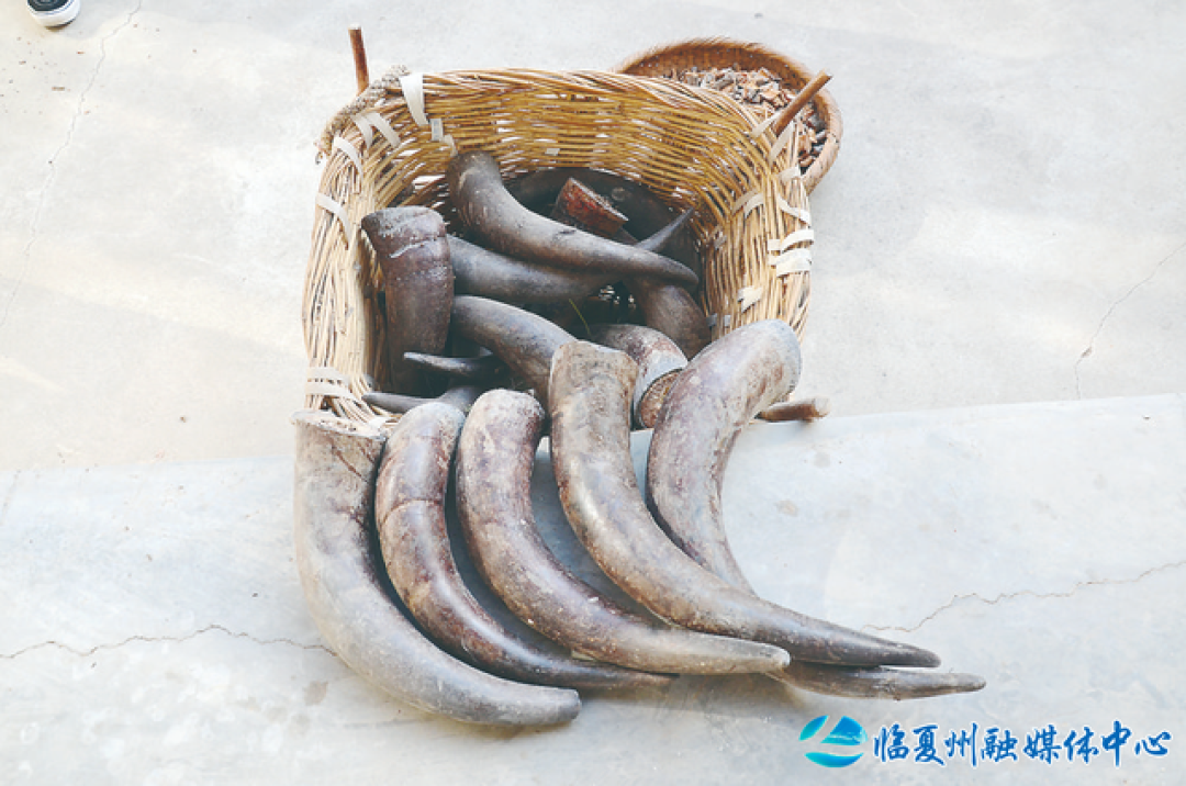 骨术传家承善念 膏方济世守初心——探访省级非遗北塬金氏接骨术与传承者
