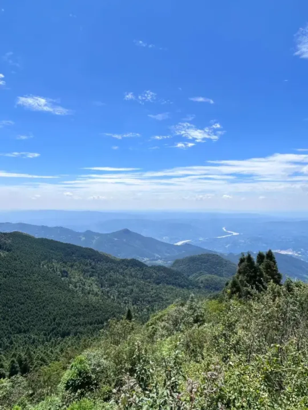 🏔️ 武陵山 | 重庆小瑞士的森系秘境✨