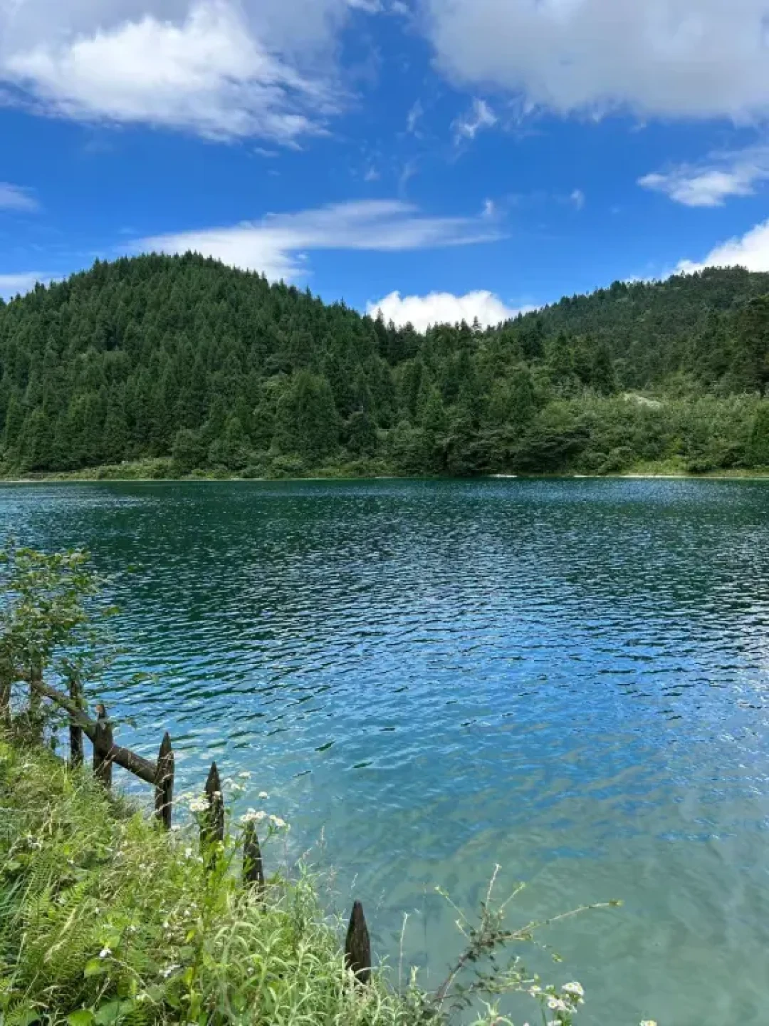 🏔️ 武陵山 | 重庆小瑞士的森系秘境✨