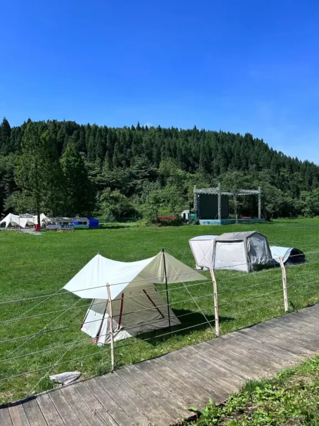 🏔️ 武陵山 | 重庆小瑞士的森系秘境✨