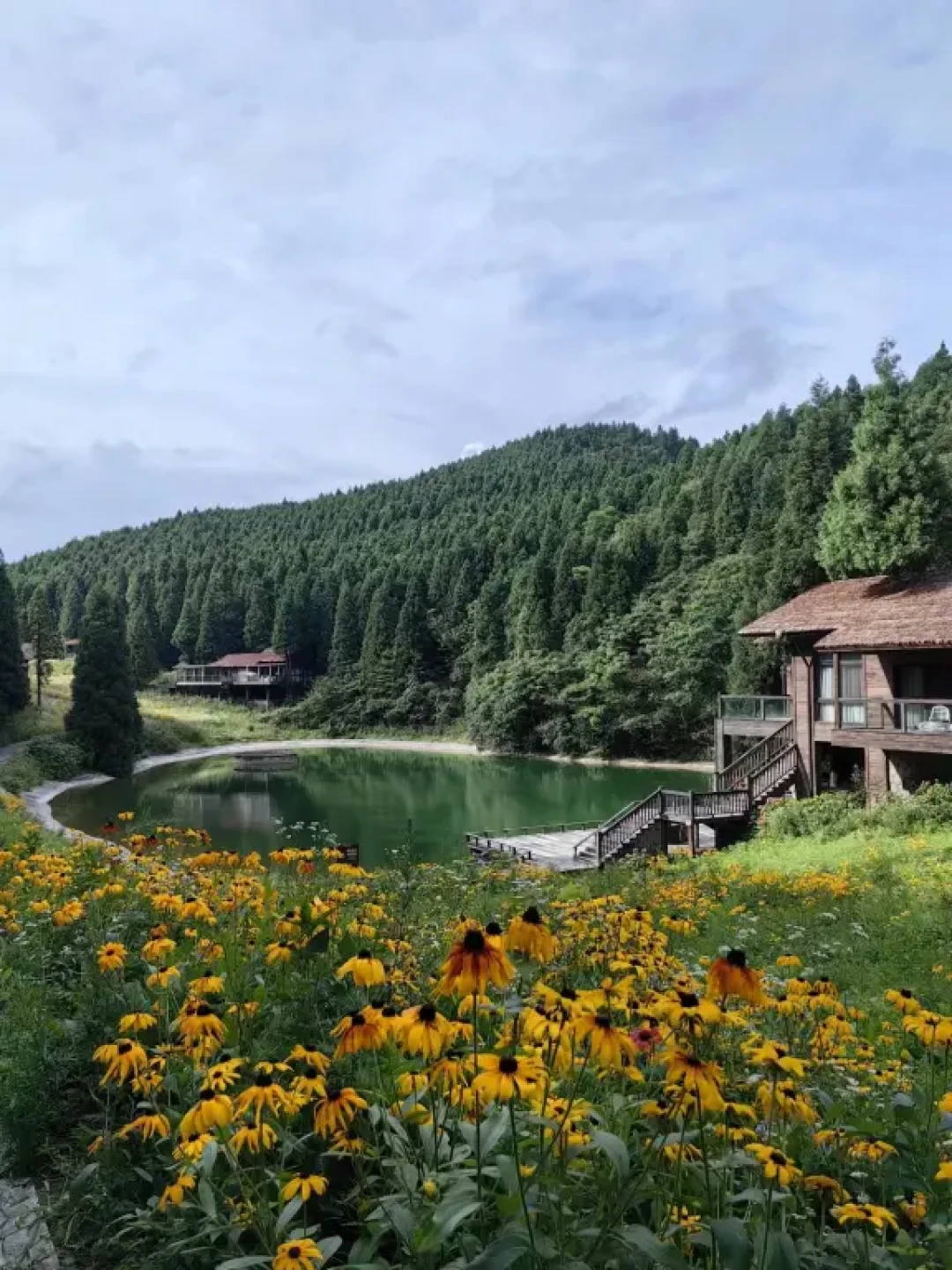 🏔️ 武陵山 | 重庆小瑞士的森系秘境✨
