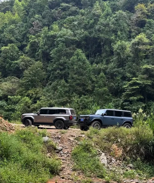 福特烈马 vs 丰田普拉多？58位用户真实体验告诉你答案