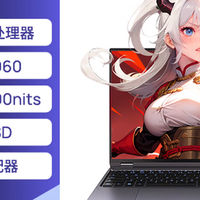 主流游戏本实力之选：年货节当属蛟龙16Pro 2025