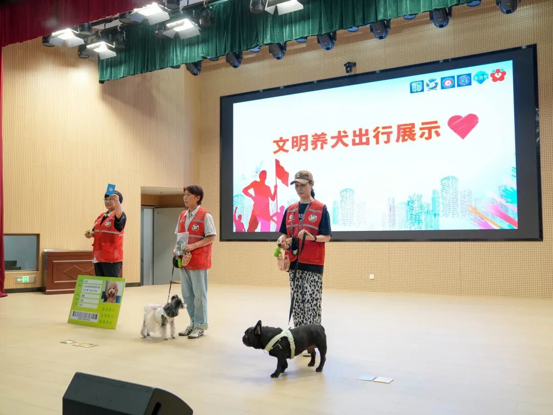 我是小小文明养犬志愿者,让我告诉你如何做个合格的“铲屎官”!