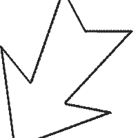 宠物年夜饭现马肉乳酪费列罗、驼奶松茸炖羊腿、金汤参佛跳墙、惠灵顿牛排等餐品，医生：黑松露不适合宠物食用，松茸也不建议吃