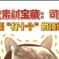 作文素材积累 - 司马迁：忍腐刑之辱著《史记》，究天人之际通古今之变，以史家绝唱铸千古史魂。        司马迁的《史记》对后世文学有哪些影响？ 介绍一下司马