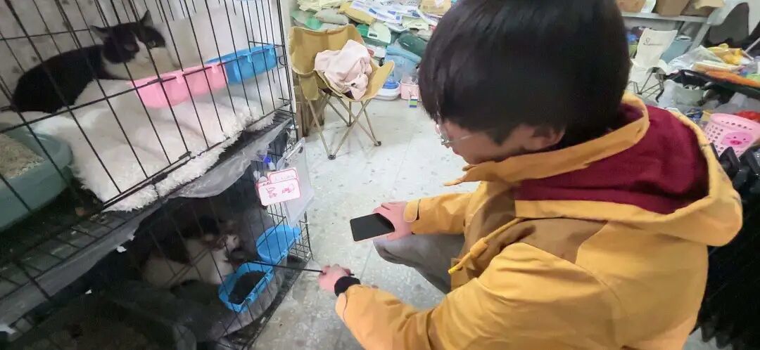 这个冬天,它们遇到了心软的新侨少年