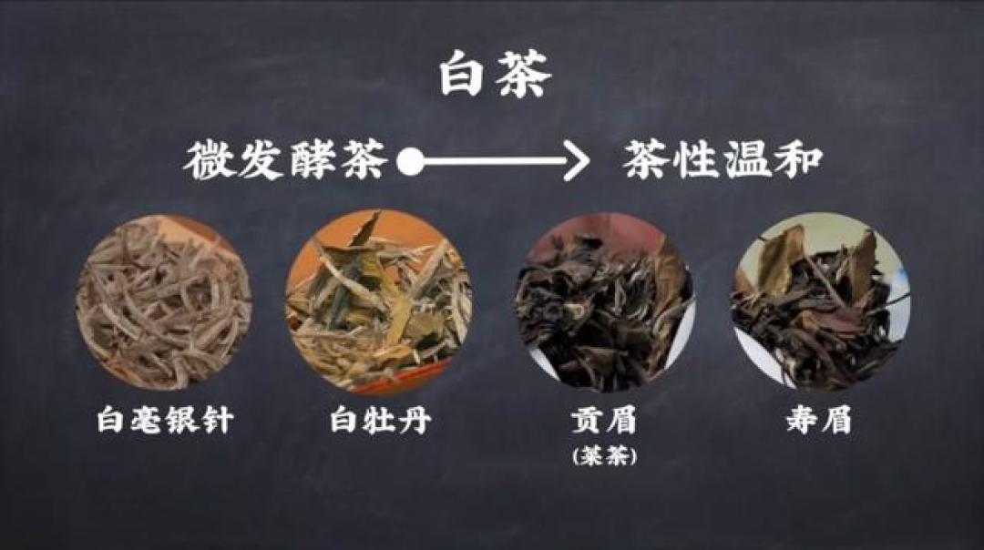 从绿茶到黑茶,六大茶类代表茶一次说清,喝茶选茶不踩坑