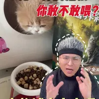 十元一斤的低价粮，你敢喂给猫主子吗？ #猫粮测评#猫粮推荐#营养森林#营养森林芝士猫粮#麦富迪猫粮