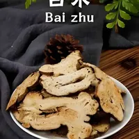#中药材白术 白术也是中药材健脾祛湿常用药材,如四君子汤中药材苓桂术甘汤,还有玉屏风散都离不开白术的配伍#每日养生小科普