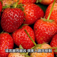 草莓连续多年被评为最脏水果！你还敢吃吗？官网真相来了