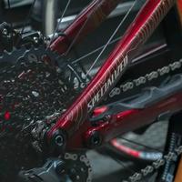 买自行车别被知名度误导！这些小品牌性价比超高